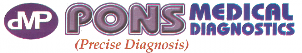 PONS Logo